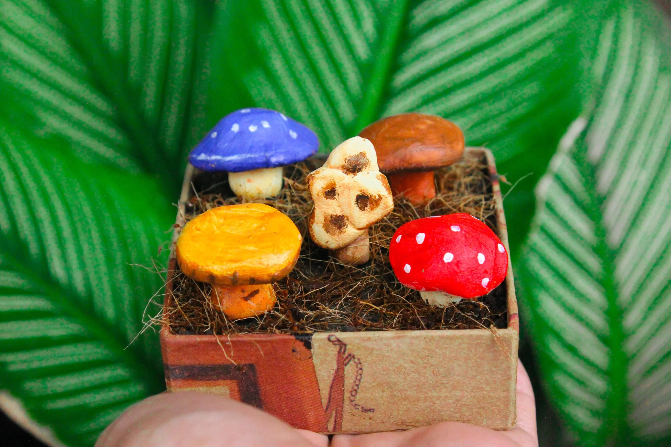 Stardew valley mushroom box