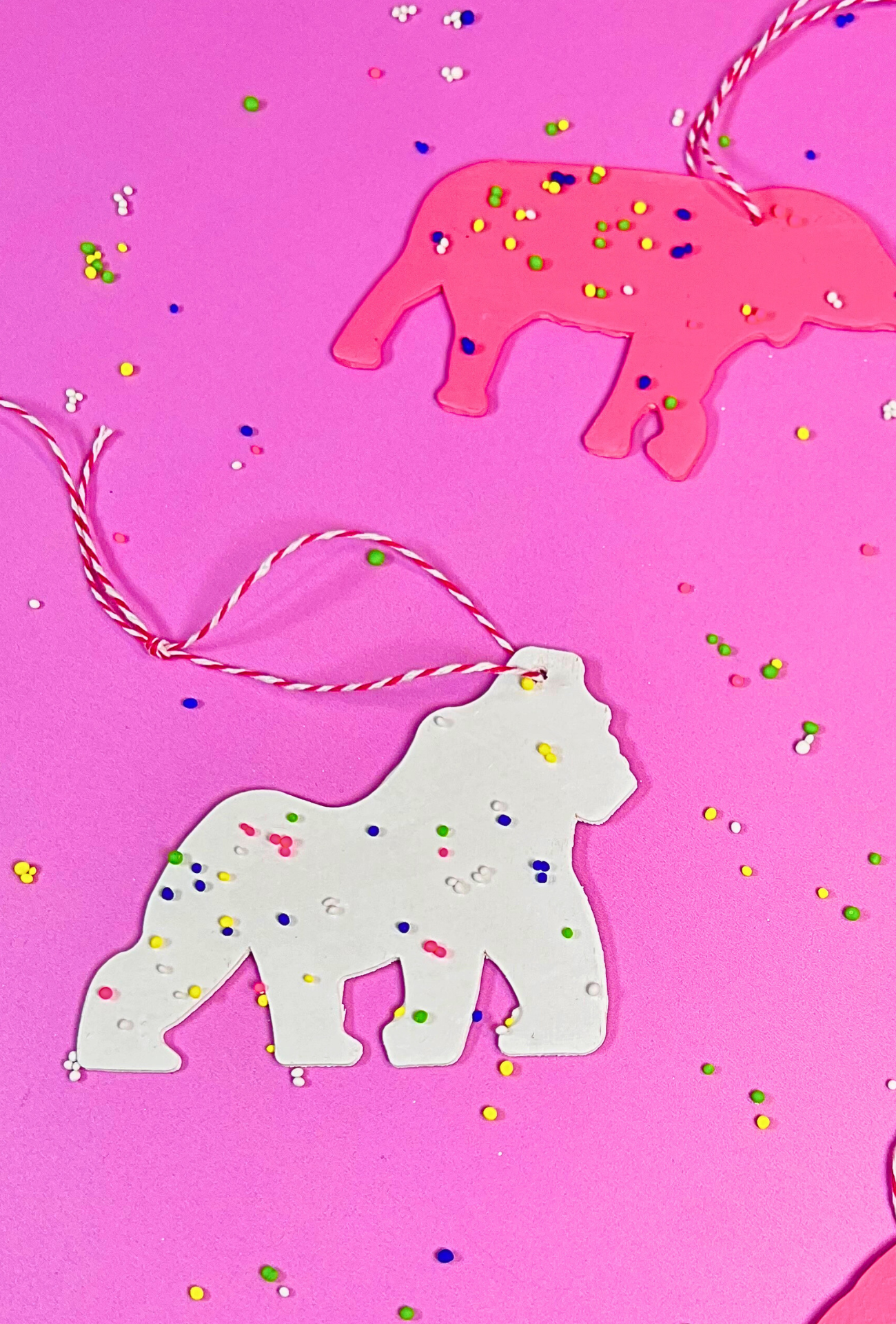 cute animal cookie diy craft idea for kids and adults